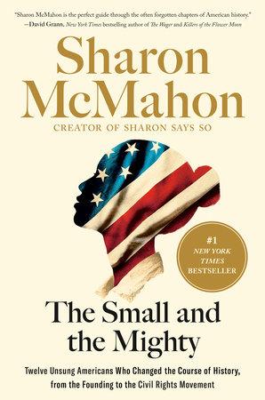 The Small and the mighty book cover featuring the silhouette profile of a woman. She is colored in with the stars and stripes of the american flag.