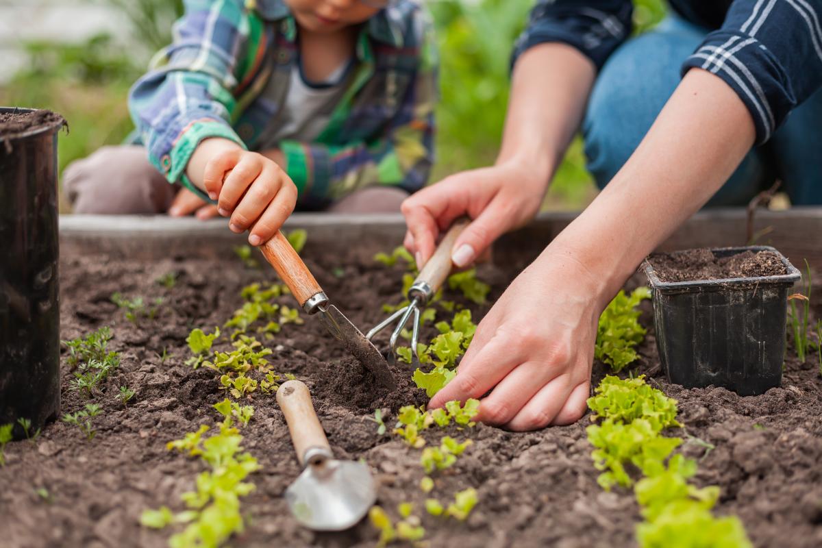 Gardening