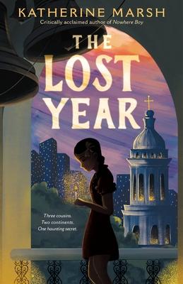 Book cover of the lost year 