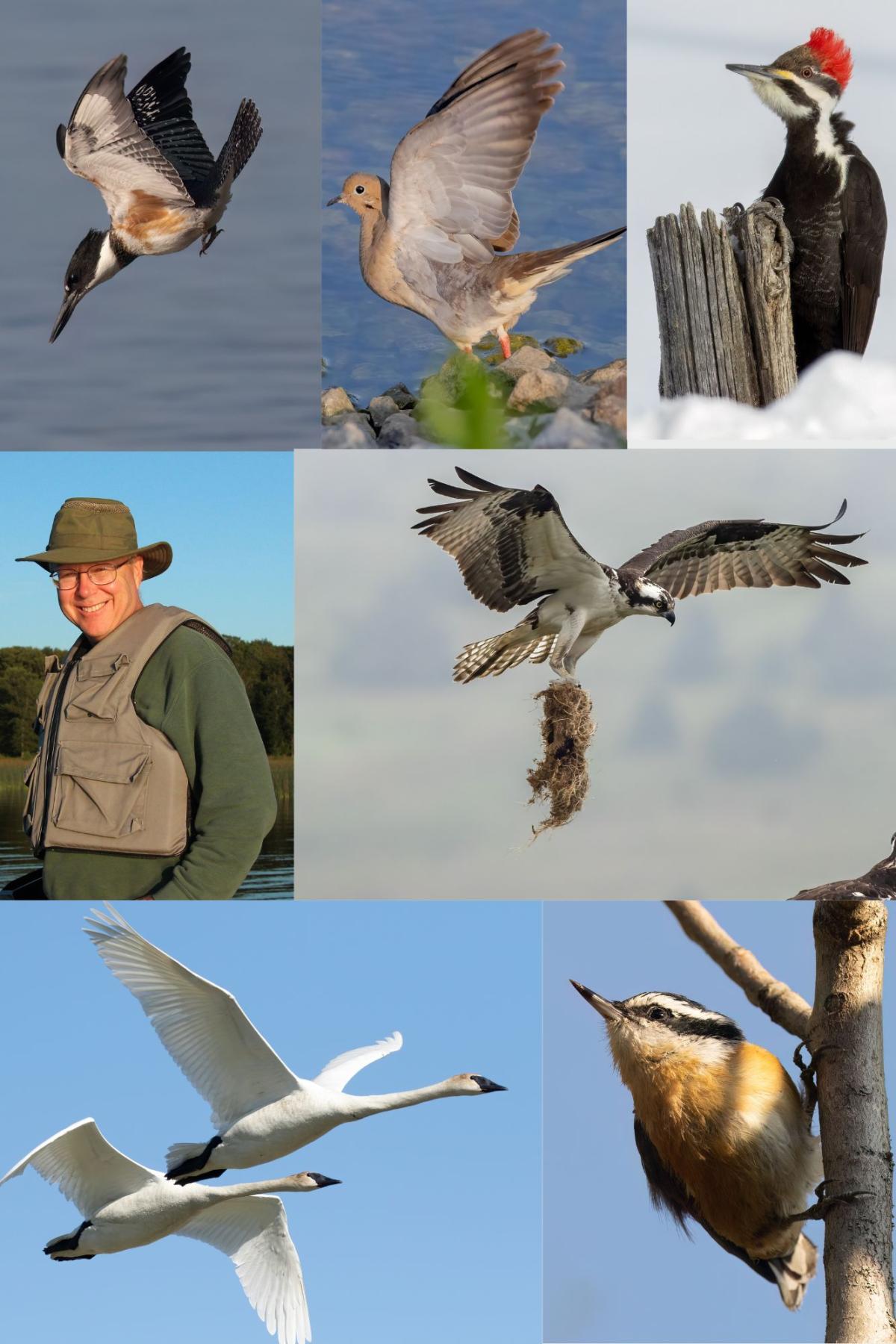 Photo collage of Greg and some of his bird pictures.