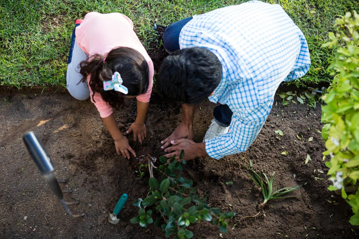 Girl and male adult planting in a garden